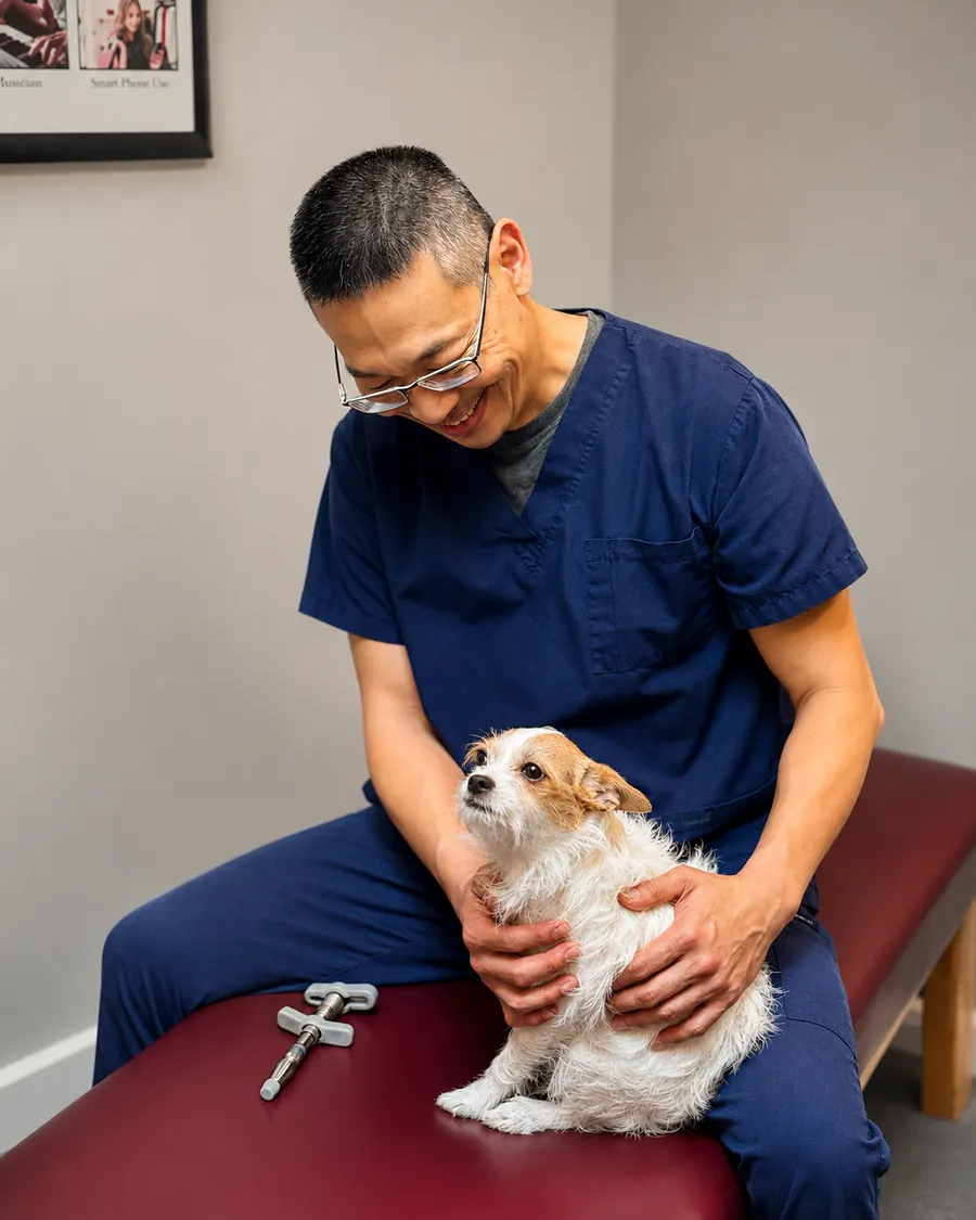 Pet Chiropractic at Adams Chiropractic, Plano TX