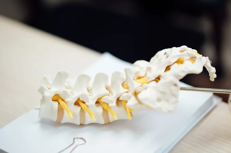 Degenerative Disc-Related Care at Adams Chiropractic, Plano TX
